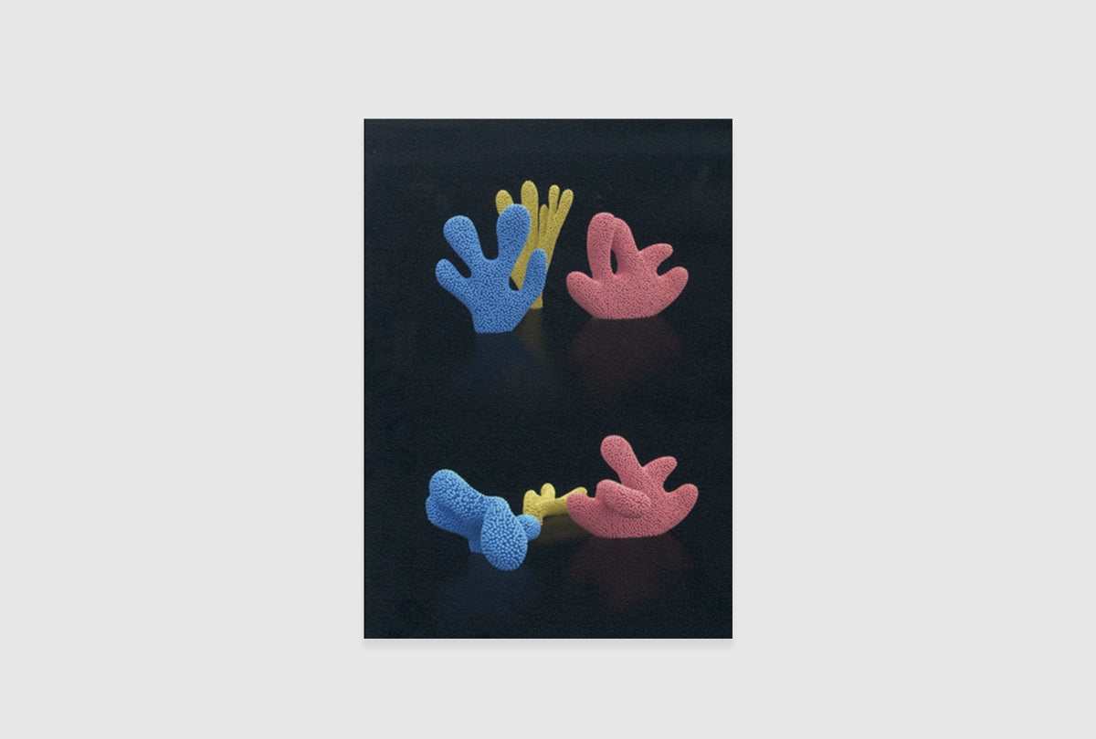 Claudia Comte: After Nature