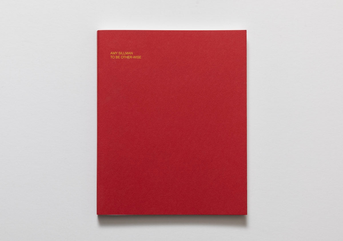 Amy Sillman: To Be Other-Wise